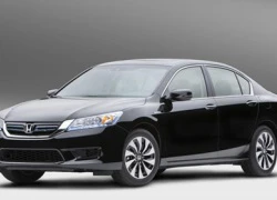 Honda Accord Hybrid 2014 lộ diện