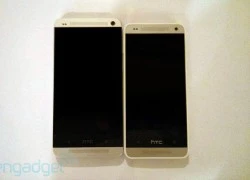 HTC One mini ra mắt vào tháng 8, chạy chip lõi kép, màn hình 4,3 inch