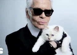 Karl Lagerfeld muốn kết hôn với&#8230; mèo