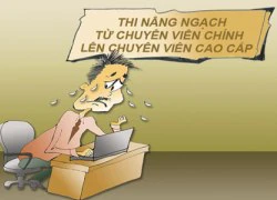 Không có gì ngạc nhiên