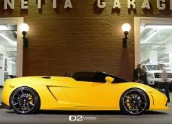 Làm mới Lamborghini Gallardo Spyder