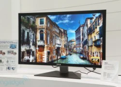 Màn hình 4K của Asus giá lên tới 3800 USD