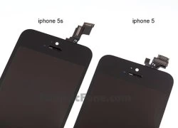 Màn hình iPhone 5S lộ diện với ít thay đổi so với iPhone 5