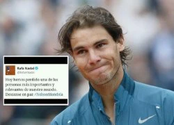 Nadal nhầm lẫn tai hại vì tin vịt