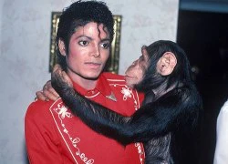 Những ồn ào trong cuộc đời Michael Jackson