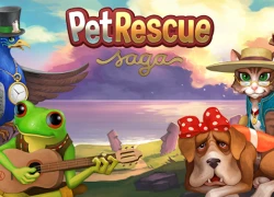 Pet Rescue Saga: Game puzzle hấp dẫn trên mobile