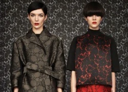 Pre-Fall 2013 Preview