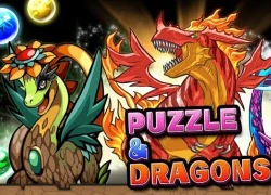 Puzzle &#038; Dragons &#8211; Game hấp dẫn đến từng góc cạnh