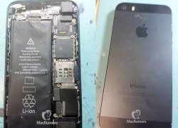 Rò rỉ ảnh mặt sau iPhone 5S: Hỗ trợ đèn flash LED kép, pin lớn hơn