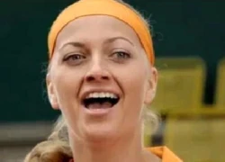 Stepanek ly hôn để đến với Kvitova?