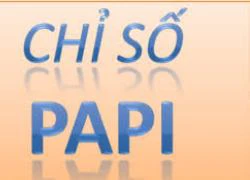 "Tái xuất" giấy phép con