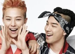 Tháng 8 G-Dragon trở lại, tháng 9 Taeyang "tung chưởng"