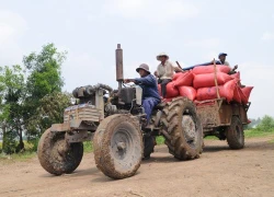 Tình làng nghĩa xóm trong Vùng hạ chuyển mình