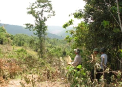 Vụ dân phá rừng chiếm đất lâm trường: Dân "khát" đất sản xuất