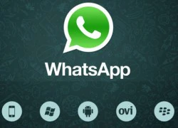 WhatsApp hiện có hơn 250 triệu người dùng mỗi tháng