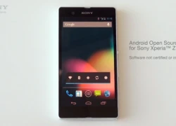 Xperia Z cũng có phiên bản Google Edition?