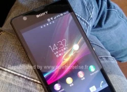 Xuất hiện ảnh thực tế Xperia Z Ultra giống Xperia Z