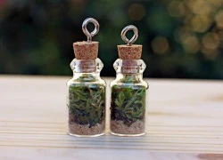 5 bước làm vòng cổ Terrarium độc đáo