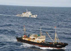 Argentina phạt tiền tàu Trung Quốc đánh cá trái phép