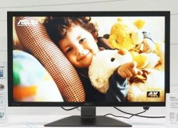 Asus nhận đặt hàng trước màn hình 4K 31,5 inch