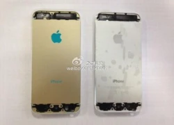 Bất ngờ lộ diện iPhone 5S màu vàng lạ mắt