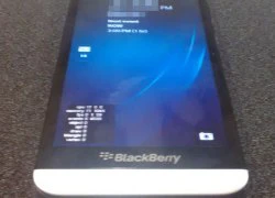 Điện thoại BlackBerry màn hình 5 inch lần đầu xuất hiện