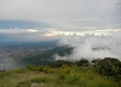 Đỉnh Langbiang mù sương