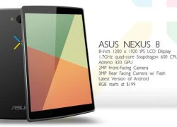 Google có thể ra Nexus 8 màn hình siêu nét, giá chỉ 199 USD