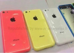 iPhone giá rẻ lộ ảnh với 5 màu sắc mới