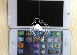 iPhone giá rẻ tiếp tục xuất đầu lộ diện, dày hơn một chút so với iPhone 5