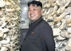 Kim Jong-un muốn Triều Tiên là cường quốc nấm