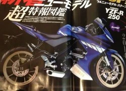 Lộ diện thiết kế dữ dằn của Yamaha YZF-R250