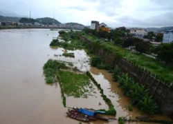 Lũ sông Hồng dâng cao, quét sạch hoa màu