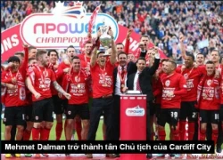 Mehmet Dalman trở thành tân Chủ tịch của Cardiff City