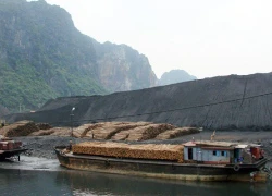 Năng lực cán bộ thanh tra chưa đáp ứng yêu cầu