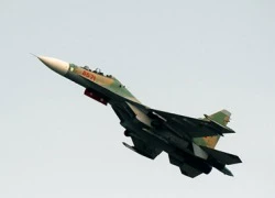 Su-30 Việt Nam như &#8220;hổ mọc thêm cánh&#8221; khi có &#8220;mắt thần&#8221; mới