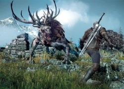 Thế giới mở không phải là điểm nhấn của The Witcher 3