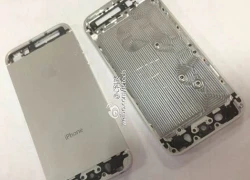 Tiếp tục dùng chip cũ, iPhone 5S sẽ không có nhiều đột phá