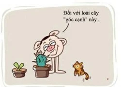 Tiếp xúc &#8216;cẩn thận&#8217;