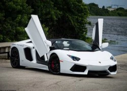 Vẻ đẹp Lamborghini Aventador Roadster 2014