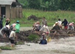 Vớt củi dưới dòng nước xiết, dân đang đùa với thủy thần