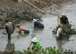 Hạnh phúc muộn màng ở "thung lũng hoàn lương"