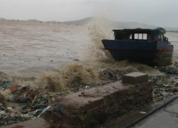 Hối hả chạy bão Mangkhut