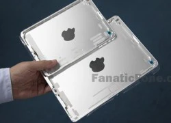 iPad mini 2 không có khác biệt với đời đầu