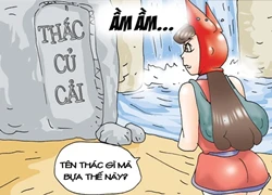 Kim chi và củ cải phần 2: Thác củ cải