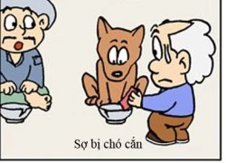 Lão già ngốc nghếch: Chó ăn xin