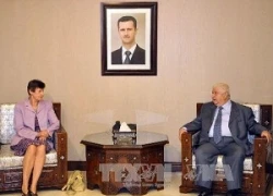 LHQ có bằng chứng giá trị về vũ khí hóa học ở Syria