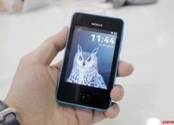 Lộ diện 2 điện thoại Asha giá rẻ của Nokia