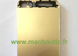 Lộ diện iPhone 5S màu vàng mới mẻ