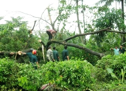 Lốc xoáy cuốn mái hàng chục ngôi nhà